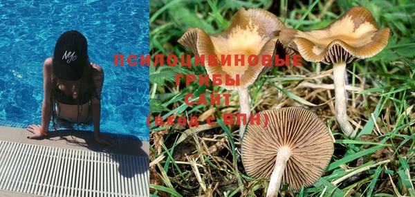 марки nbome Магас