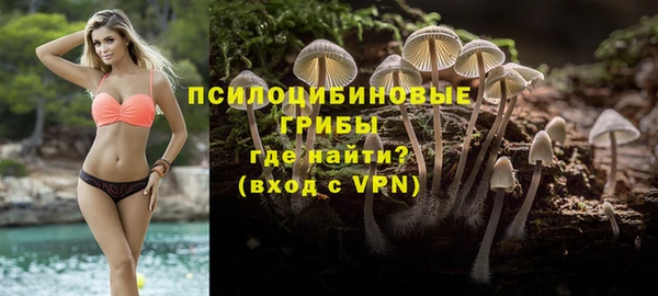 хмурый Алексеевка