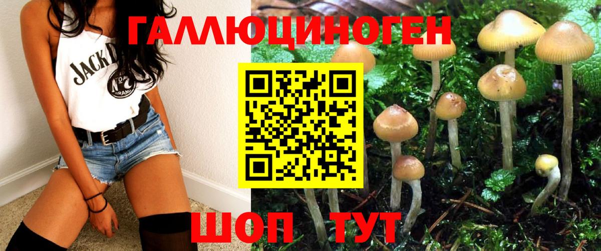 Псилоцибиновые грибы Magic Shrooms  цены наркотик  Киров  Псилоцибиновые грибы GOLDEN TEACHER  Вход с VPN 
