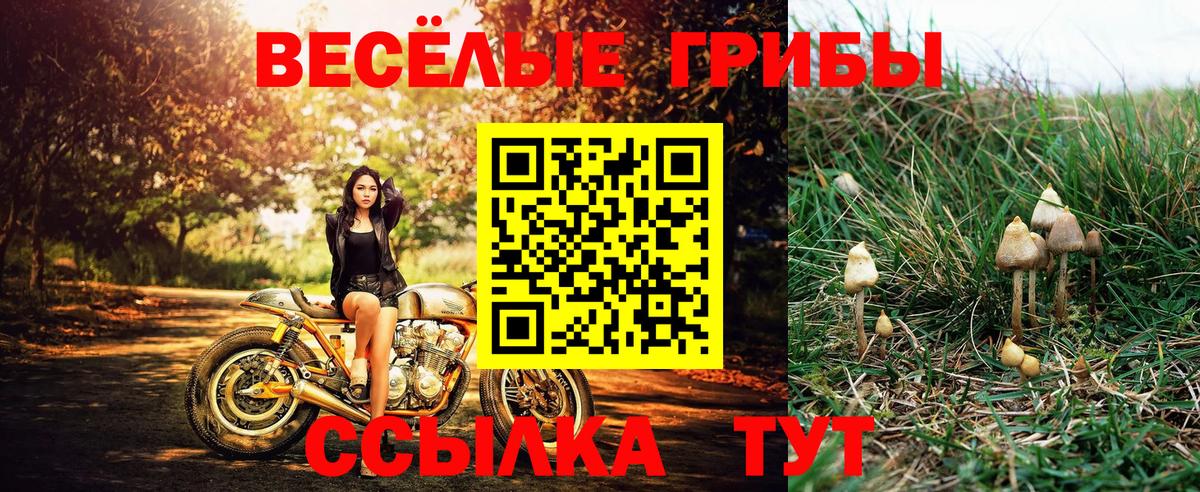 Псилоцибиновые грибы прущие грибы Киров