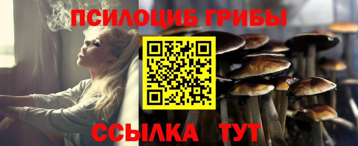 Канабис  Киров  Вход с VPN  КОКАИН  Магазины продажи наркотиков  Гашиш  Гашиш  МЕФ   Альфа ПВП СК  